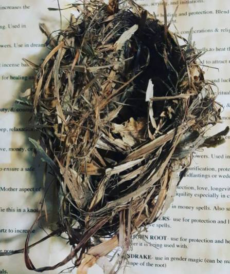 The Wayward Path - Paperbark Nest Treasure